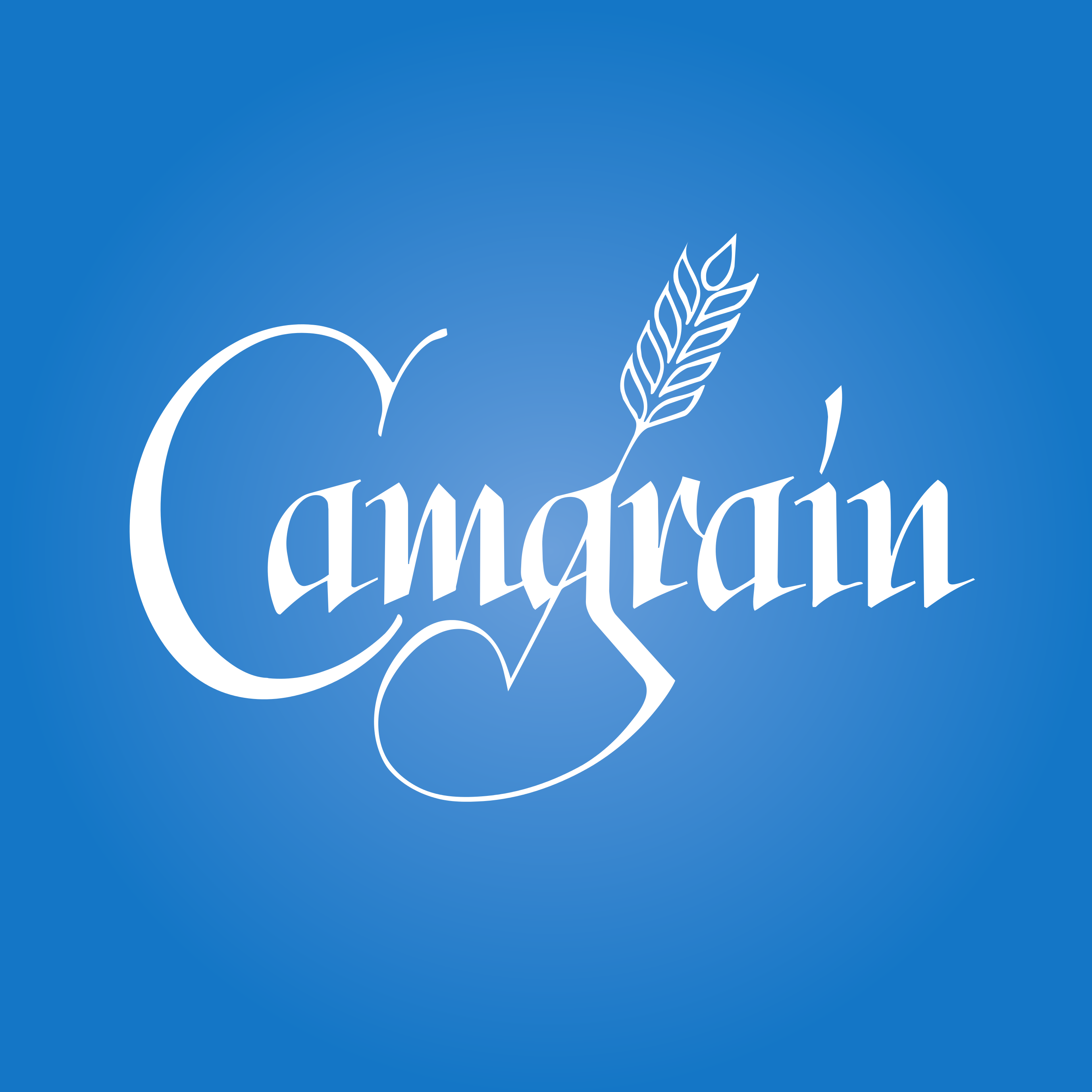 camgrain-blue