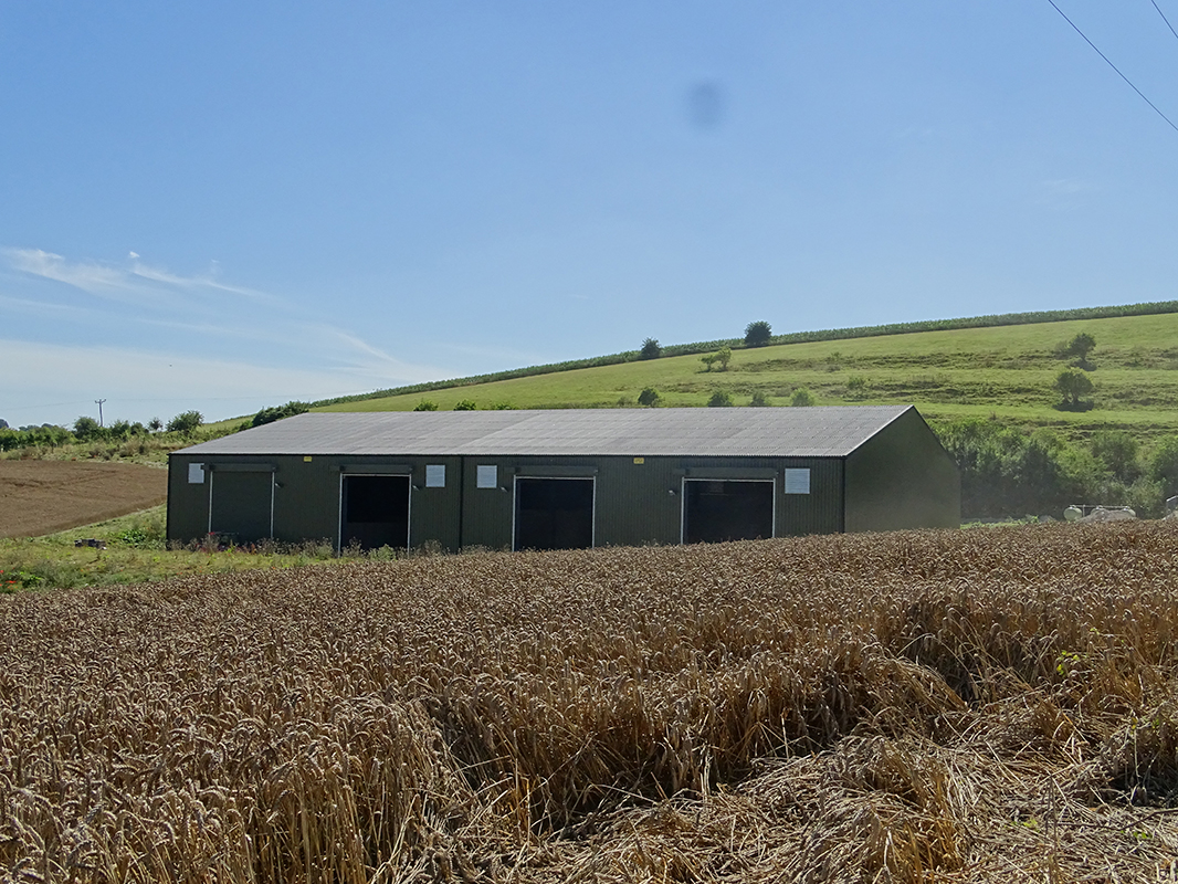 Cobham Farms 2500 tonne capacity grain store T H WHITE Projects