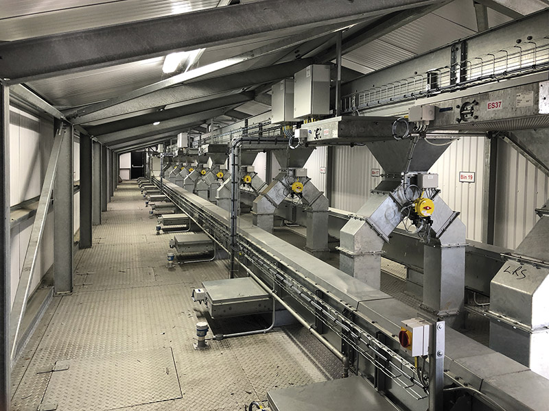 Conveyors over silos